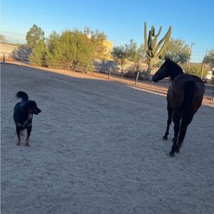 Meet your Posher, Nickl